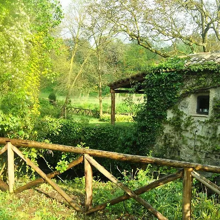 La Cannara * Marta